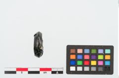 Foto von Gagatringperle (NHMW-PRAE-025028)